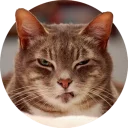 [sticker](media:AAQCABOdnoQqAATloBn4aK2S9QABPwACAg@telegram)