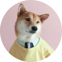 [sticker](media:AAQCABOg4YIqAARRU7HwVkoe3fw9AAIC@telegram)