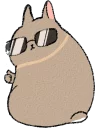 [sticker](media:AAQCABOkDvMOAAQXtVslEq5tlQ9LAAIC@telegram)