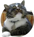 [sticker](media:AAQCABOlBhAOAAQMwGrzPAmgx8uQAAIC@telegram)