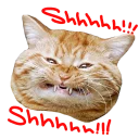 [sticker](media:AAQCABOmnIIqAAQUZPZbmf6lQoMHAAIC@telegram)