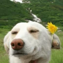 [sticker](media:AAQCABP-PXENAARXma9il2BFSLokAAIC@telegram)