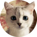 [sticker](media:AAQCABP2Q0gNAAQYs-zRam9FpgUnAAIC@telegram)