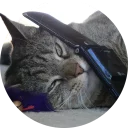 [sticker](media:AAQCABPIi5oOAARX0oQCSv1qKK6PAAIC@telegram)