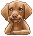 [sticker](media:AAQCABPJLoQqAASr5fiflyg69CQoAAIC@telegram)