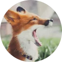 [sticker](media:AAQCABPUE7cNAAThdP-2MegKyPJtAAIC@telegram)