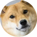 [sticker](media:AAQCABPWxoUqAASBDVrjJ6LSw6INAAIC@telegram)