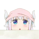 [sticker](media:AAQCABPbIUsNAAR8KbI0530zpMaqAAIC@telegram)