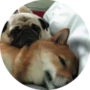 [sticker](media:AAQCABPcLYMqAAQoF9Jb40V0rz44AAIC@telegram)