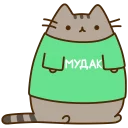 [sticker](media:AAQCABPdrIQqAARzn9zFTfMZs2ciAAIC@telegram)