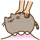 [sticker](media:AAQCABPfrIQqAARkb7QgFi2oQVMFAAIC@telegram)