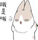 [sticker](media:AAQCABPhaOMNAAS3PzhYKcfdM9YOAAIC@telegram)