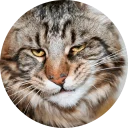 [sticker](media:AAQCABPiQ0sNAAQXpHLznOS9DBKkAgABAg@telegram)