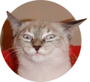 [sticker](media:AAQCABPqrIIqAAT2Qgj0eMXJEPFWAAIC@telegram)