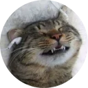 [sticker](media:AAQCABPu95sOAARckexCxv-bhgkMAAIC@telegram)