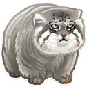 [sticker](media:AAQCABPz11kqAASGmE7pKVN3ENsZAAIC@telegram)