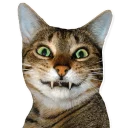 [sticker](media:AAQCABPzboQqAAQGGh91vcE7K5UiAAIC@telegram)