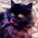 [sticker](media:AAQCABPzoLcNAAQ33S0bbLxo9MY0AAIC@telegram)