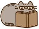 [sticker](media:AAQDABOL7OsqAASZY-L0wH-p5UCOAAIC@telegram)