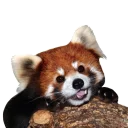 [sticker](media:AAQDABOS7esqAAS1RqWk0zwavZmWAAIC@telegram)