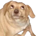 [sticker](media:AAQDABPm44YxAAS0j1k2CEIX2mYOAAIC@telegram)