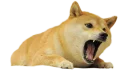 [sticker](media:AAQEABM48mEwAASN3owgpkU5TAsLAAIC@telegram)