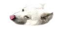 [sticker](media:AAQEABM_cowwAARpvECe5QABQfSRAwACAg@telegram)