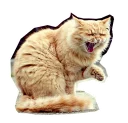 [sticker](media:AAQEABMhTlgZAAS2gMp-b6VzCzo7AAIC@telegram)