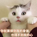 [sticker](media:AAQEABMmzZ8ZAATkbxMnYXX4qzgzAAIC@telegram)