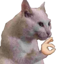 [sticker](media:AAQEABMsqZsZAASh4tJapHNhVQUdAAIC@telegram)