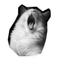[sticker](media:AAQEABMtG2AZAATNumnThOLcw7cZAAIC@telegram)
