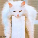 [sticker](media:AAQEABN4KJ0ZAATL5_-z0mAYIaNsAAIC@telegram)