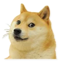 [sticker](media:AAQEABN7GWIwAATjiGNaqlYx31wYAAIC@telegram)