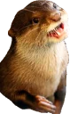 [sticker](media:AAQEABNAao8wAARCcW84J4j66UMoAAIC@telegram)