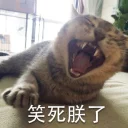 [sticker](media:AAQEABNJPb0ZAARlMX8P7vcBHahJAAIC@telegram)