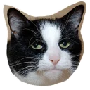 [sticker](media:AAQEABNZn2MwAAToAa9-C5iJJegoAAIC@telegram)