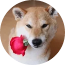 [sticker](media:AAQEABNcxaEwAATNvn4D6HOqLWcEAAIC@telegram)