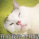 [sticker](media:AAQEABNis7sZAASc9F7WCL8mGNYwAAIC@telegram)