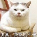 [sticker](media:AAQEABNoz7sZAAR8Xr6P1k7W5PxfAAIC@telegram)