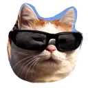 [sticker](media:AAQEABNrMYkrAASbMx6iJQUIWC1sAQABAg@telegram)