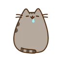 [sticker](media:AAQEABNt4GEwAAQIQME07UAKP_gOAAIC@telegram)