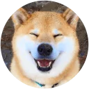 [sticker](media:AAQEABO0lYwwAATx0QcbIeB92cwUAAIC@telegram)