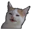 [sticker](media:AAQEABOJQd0ZAAT8vo9eS7qzFKVMAAIC@telegram)