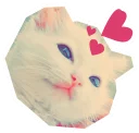 [sticker](media:AAQEABObnHIwAARCF6d-__-7dJflAQABAg@telegram)