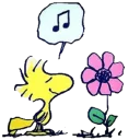 [sticker](media:AAQEABOmI2swAAT4fT1kGbTWFvgIAAIC@telegram)