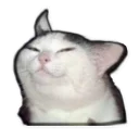 [sticker](media:AAQEABP3WuAZAASCbNbRVVhvEJBTAAIC@telegram)