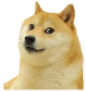 [sticker](media:AAQEABP8taEwAAQW-0zCnCyYAm0jAAIC@telegram)
