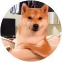 [sticker](media:AAQEABPN1aYwAASZ-aZnkqQgDZQUAAIC@telegram)