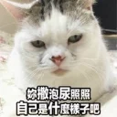 [sticker](media:AAQEABPcyaoZAARD72RhnNZb6lJiAAIC@telegram)