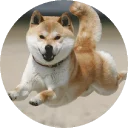 [sticker](media:AAQEABPkBpEwAARs0rxgZhkbtrcMAAIC@telegram)